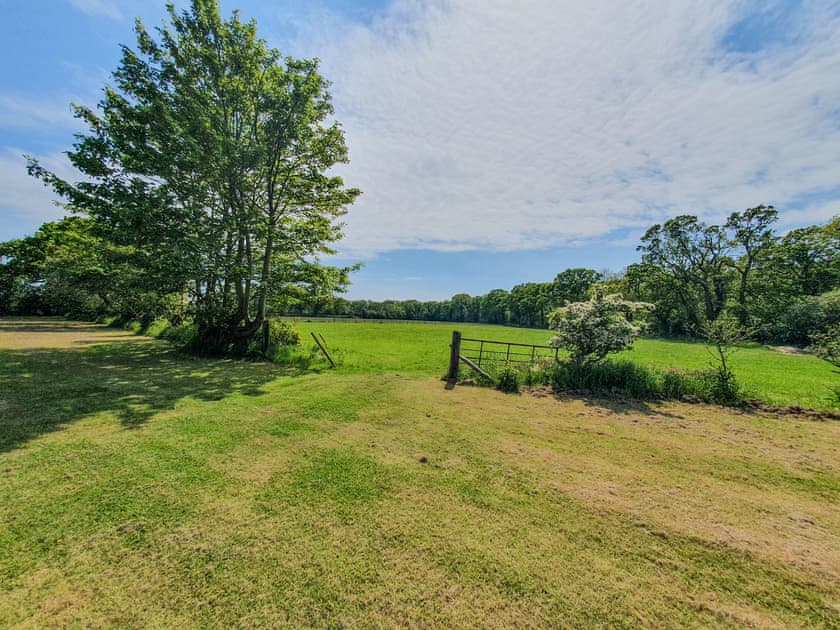 Surrounding area | New Forest Annexe, Hordle, Lymington