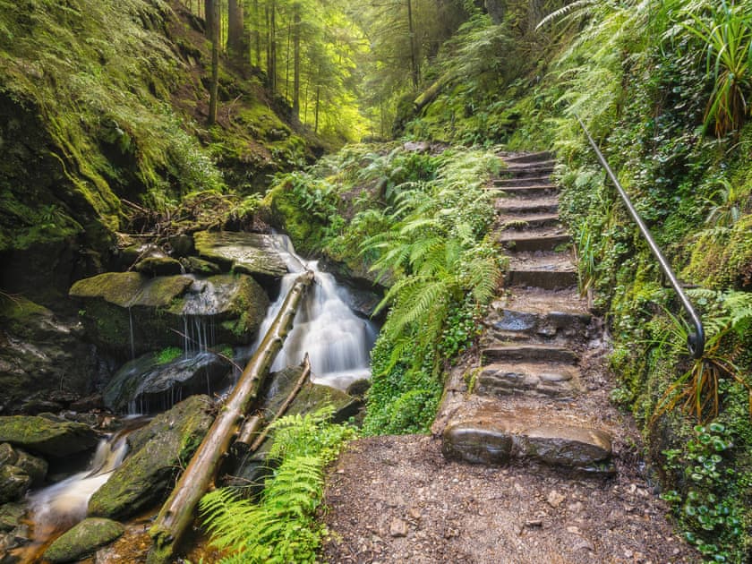 Pucks Glen walk | 6 Deercroft Lodge, Dunoon