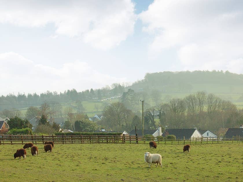 Surrounding area | Bronhaul Village Retreat, Pennal, near Aberdovey