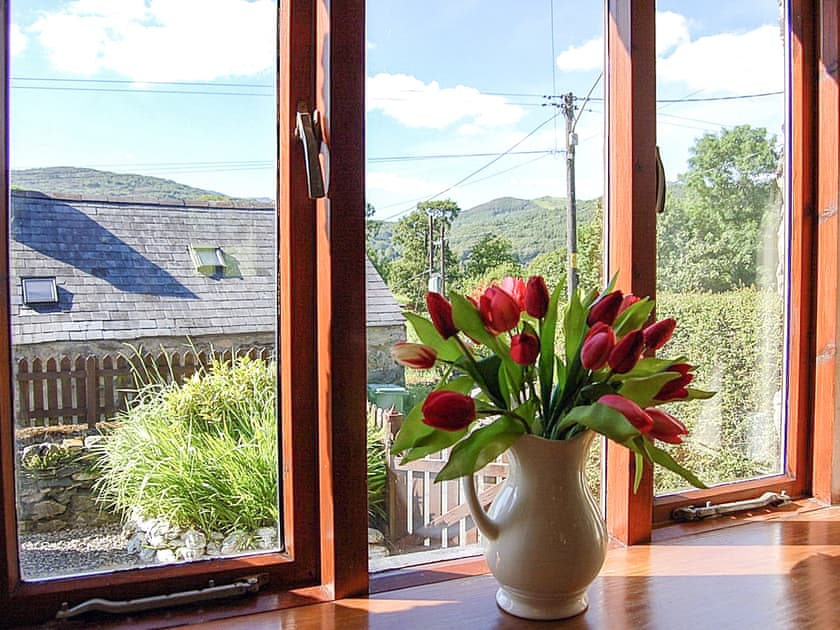 View | Tre-Allt Cottage, Dolgellau