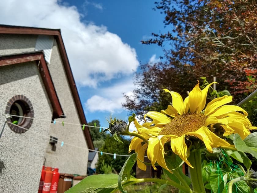 Exterior | Llygad Yr Haul, Dolgellau