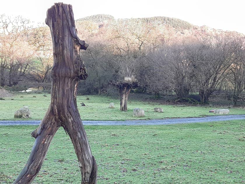 Garden and grounds | Ty Afal - Dwr Y Felin Log Cabins, Carno