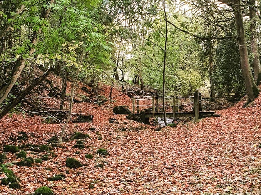 Walk through Fairy Glen  | Ty Afal - Dwr Y Felin Log Cabins, Carno