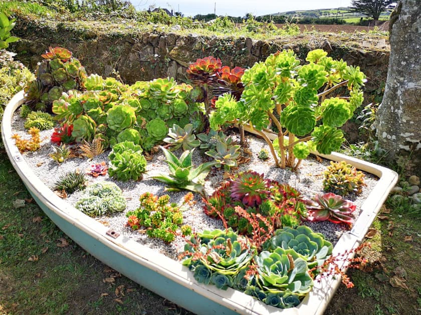 Garden | The Look Out, Germoe, near Penzance