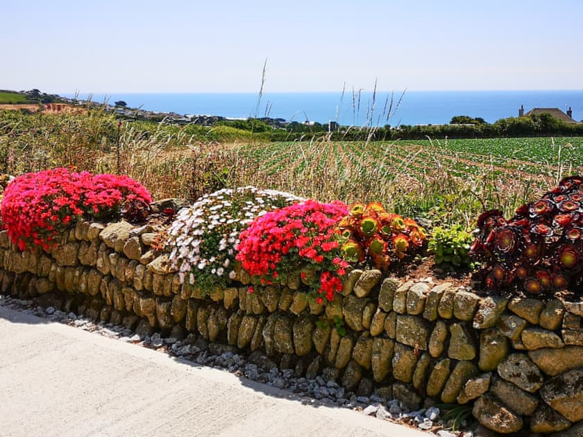 Garden | The Look Out, Germoe, near Penzance