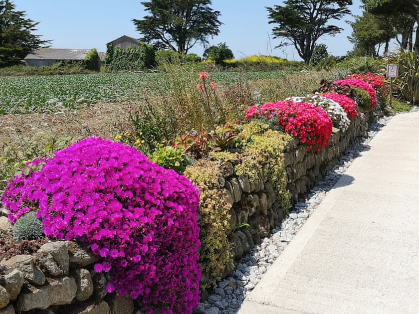 Garden | The Look Out, Germoe, near Penzance