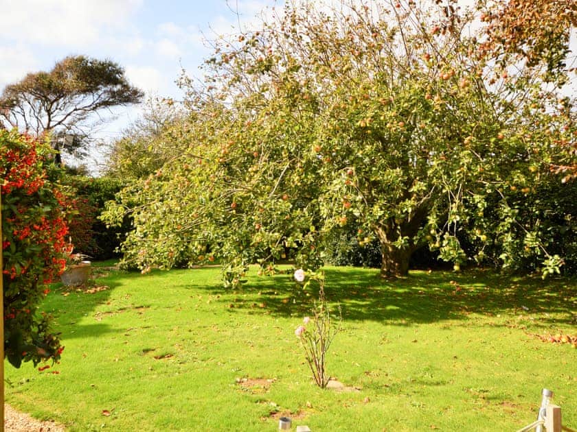 Garden | Whitestones, Limerstone, near Brightstone