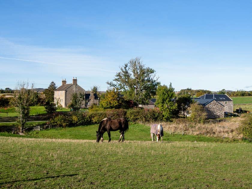 Surrounding area | The Cart House, Duns