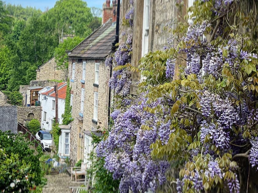 Surrounding area | Millgate Fosse Cottage, Richmond