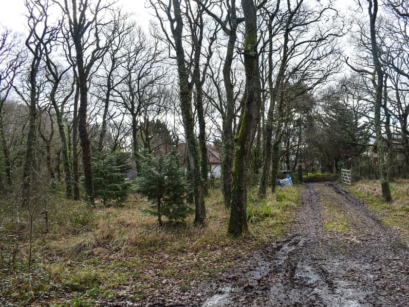 Garden | Westfield, Yarmouth