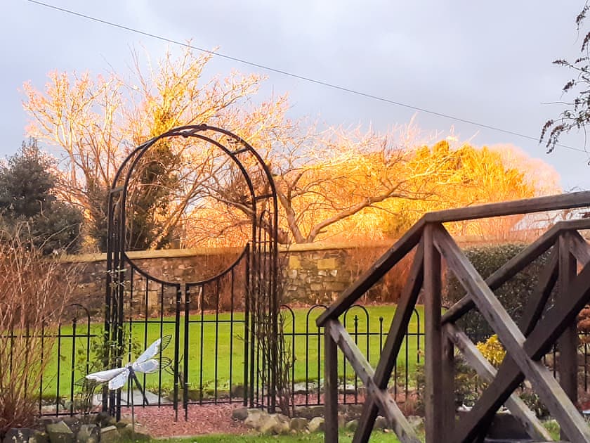 Beautiful vista of the trees shimmering in the early morning sunrise | Quarryman’s Cottage, Belford