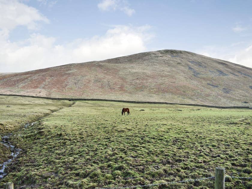 Setting | Mount Cottage - Brockholes Farm, Near Tebay