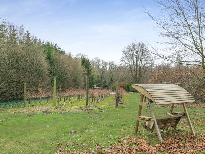 Garden and grounds | Snowdrop - The Vineyard, Blandford Forum