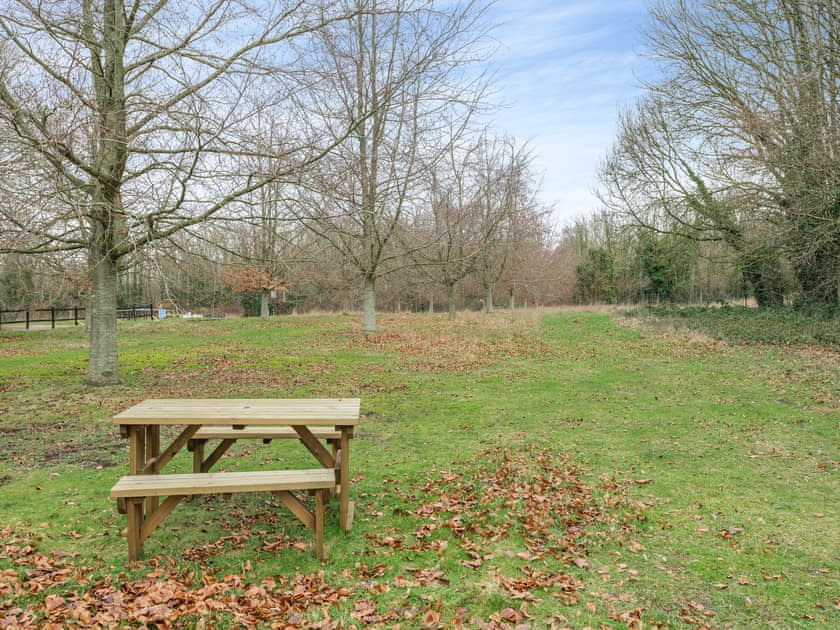 Garden and grounds | Snowdrop - The Vineyard, Blandford Forum