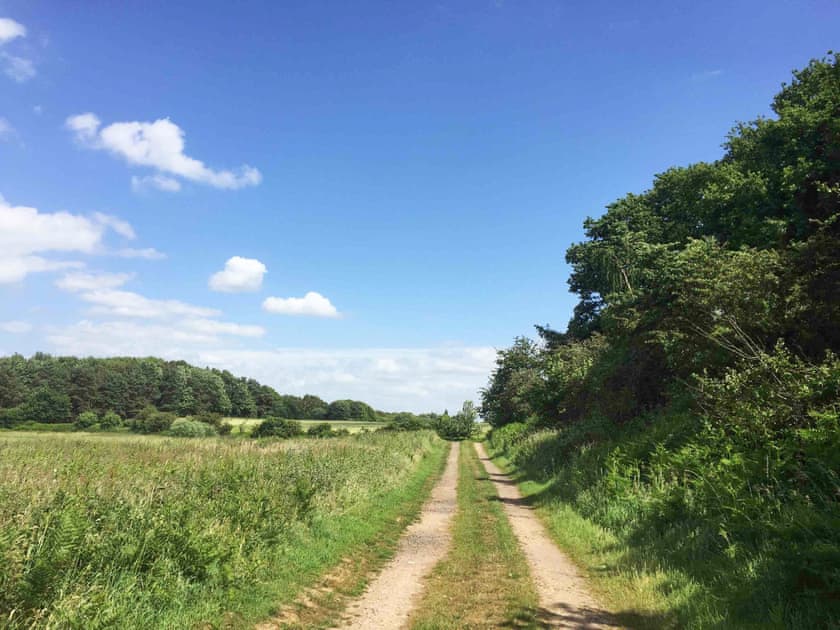 Garden and grounds | Archie’s Barn, Weston Longville