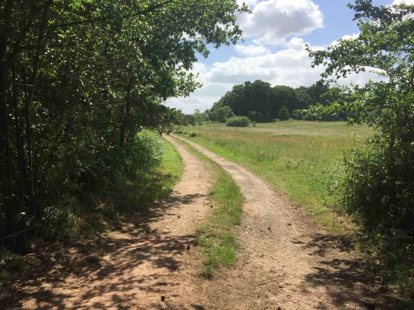 Garden and grounds | Archie’s Barn, Weston Longville