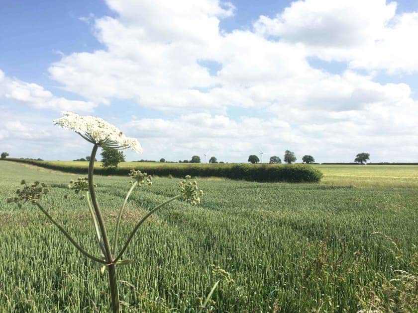 Surrounding area | Archie’s Barn, Weston Longville
