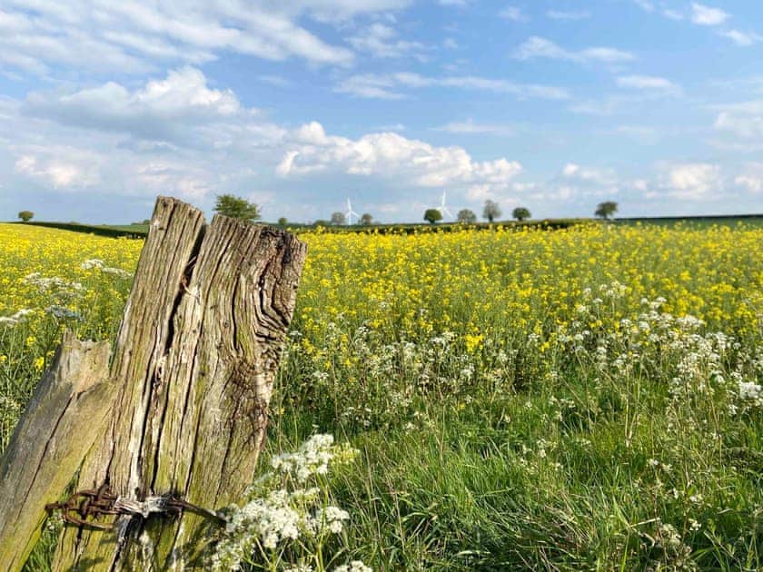 Surrounding area | Archie’s Barn, Weston Longville
