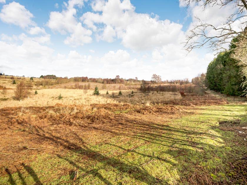 View | Hawthorn Lodge - Mid Wales Lodges, Llandrindod Wells