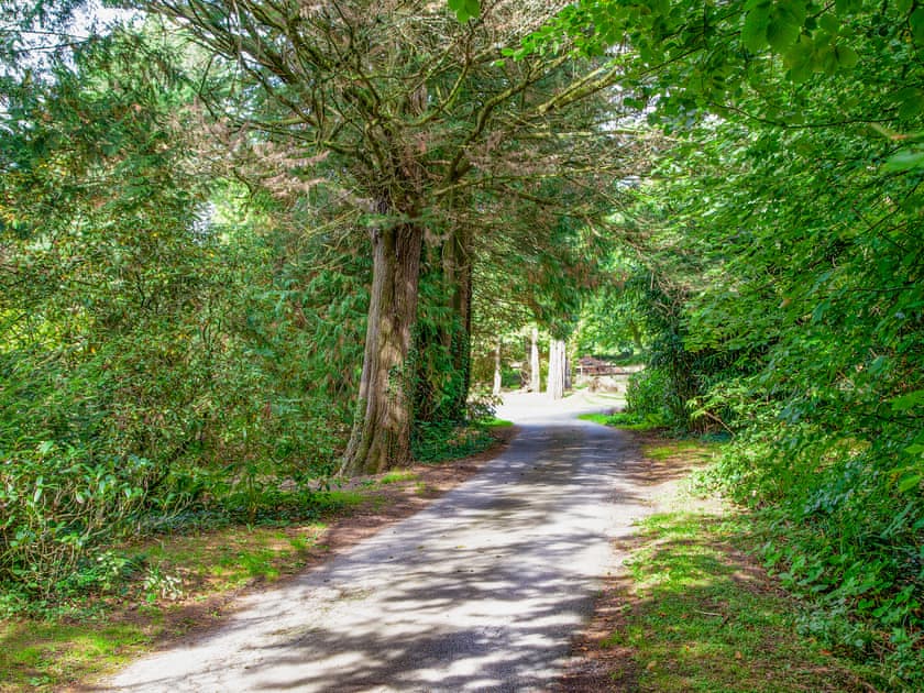 Driveway | Barley Cottage, Modbury