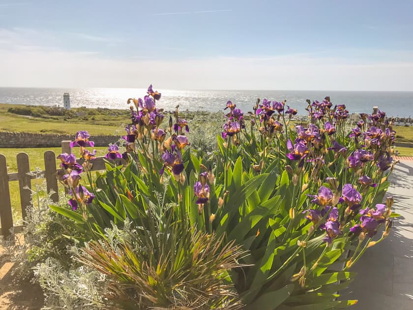 Surrounding area | Lloyds Cottage, Portland, near Weymouth