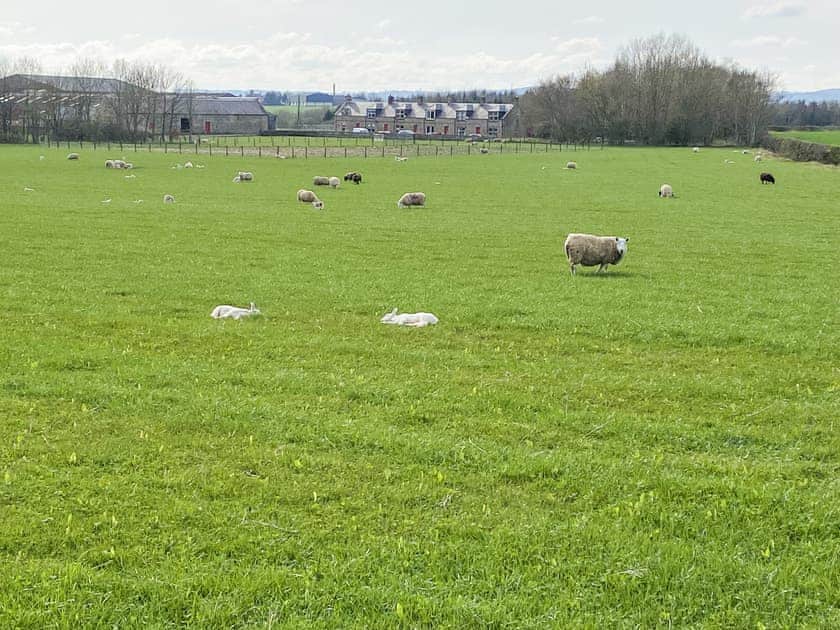 Surrounding area | The End Hoose, Duns