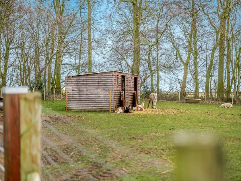 Surrounding area | The Milking Parlour - Wolds Way Holiday Cottages, Low Hunsley