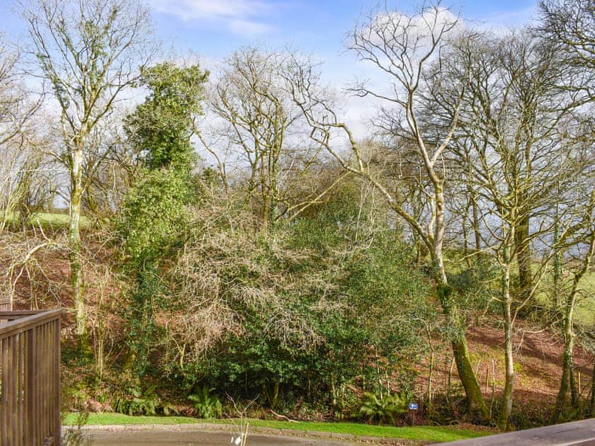 Surrounding area | Squirrel Creek, Callington