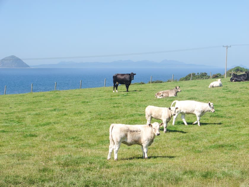Surrounding area | Fiddlers Rest, Ballantrae