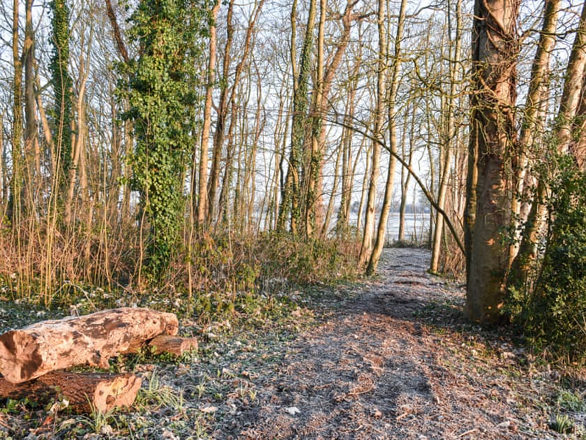 Garden and grounds | Sheep’s View Cottage, Eastbourne
