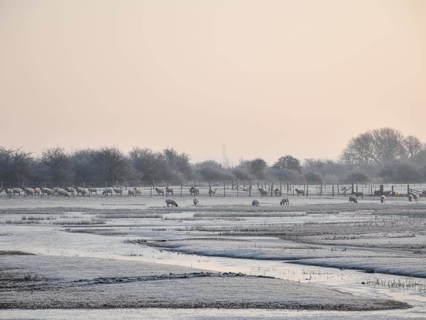 Garden and grounds | Sheep’s View Cottage, Eastbourne