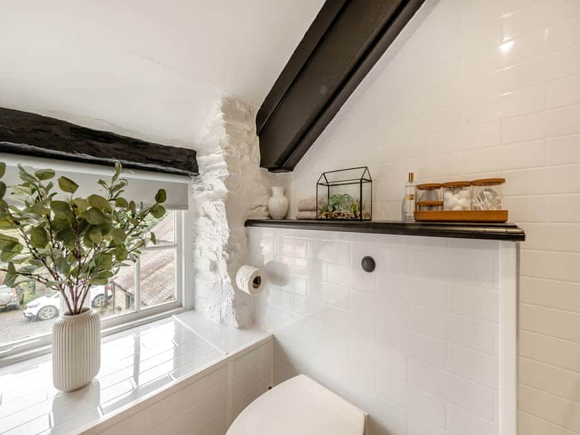 Bathroom | Old Stables Cottage, Ponthirwaun