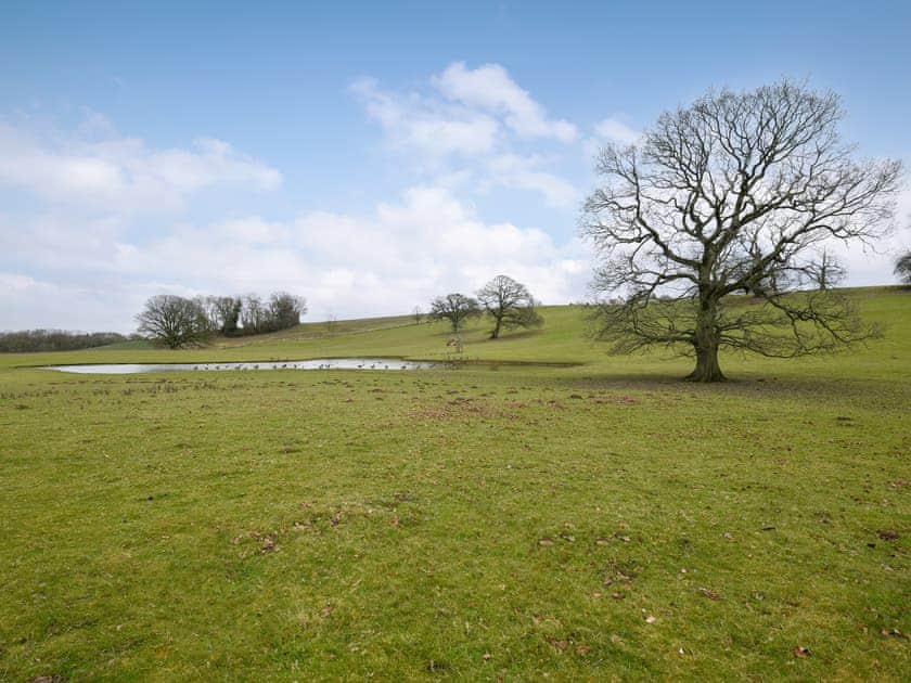 Surrounding area | Hay and Hedgerow Glamping, Nordley, near Bridgnorth