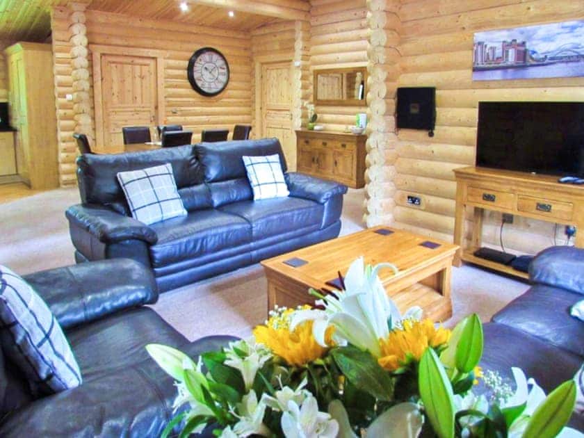 Living area | Hadrians Lodge - Felmoor Park, Felton, near Morpeth