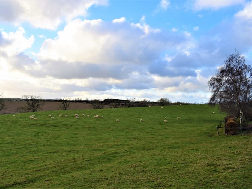 Surrounding area | The Old Farmhouse, Ancroft, near Berwick-upon-Tweed