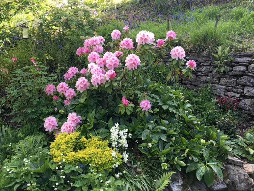 Garden | Gushat Cottage, Strathtay, near Aberfeldy