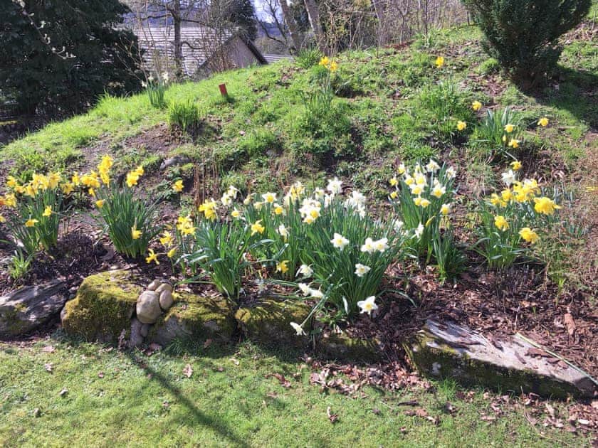 Garden | Gushat Cottage, Strathtay, near Aberfeldy
