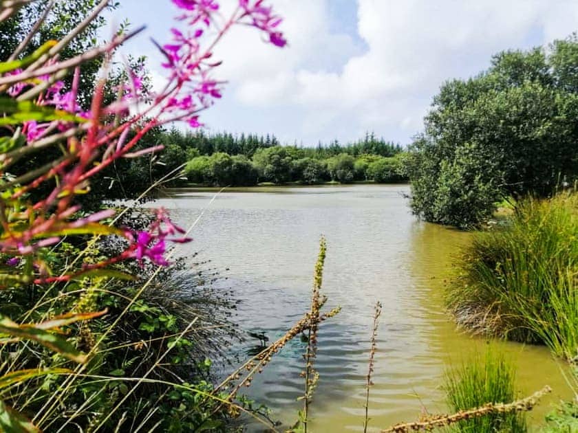 Surrounding area | Lamastar, Woolsery, near Hartland