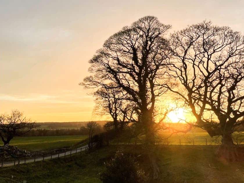 Surrounding area | Lapwing Cottage, Gateshead