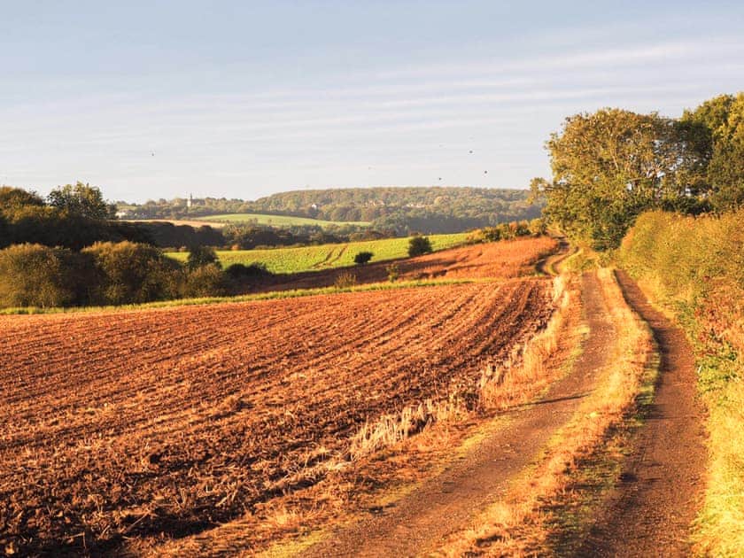Surrounding area | Lapwing Cottage, Gateshead