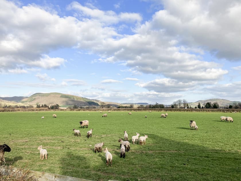 Surrounding area | Hoarstone Cottage, Presteigne