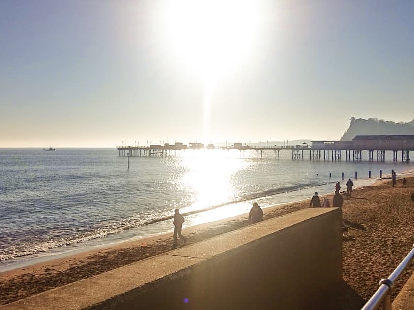 Surrounding area | Elodie Yurt, Bishopsteignton
