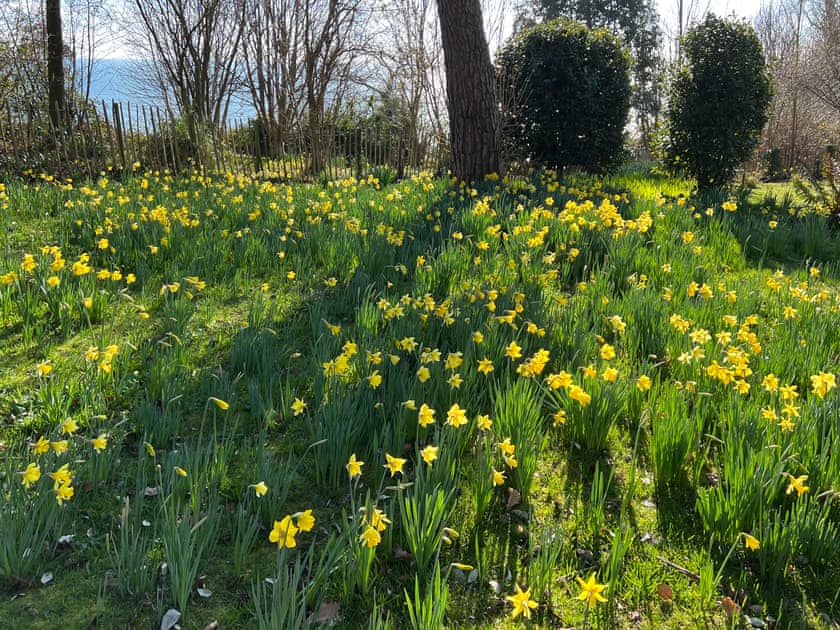 Garden and grounds | Priory Apartment, Shanklin