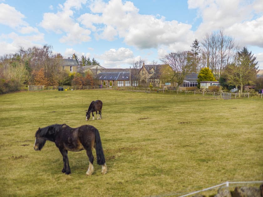 Surrounding area | Apple Tree Cottage - Emmock Farm Cottages, Tealing, near Dundee
