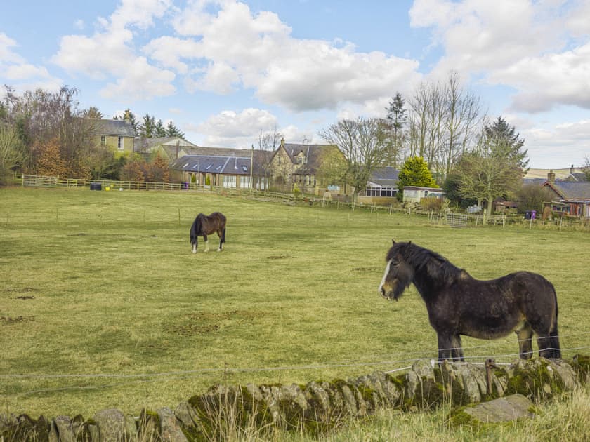 Surrounding area | The Old Stables - Emmock Farm Cottages, Tealing, near Dundee