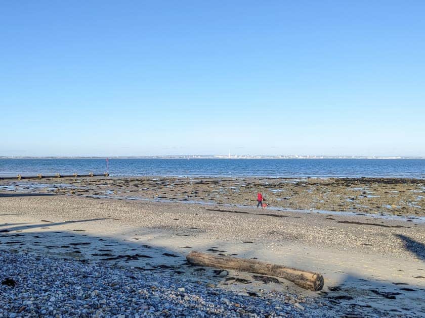Surrounding area | The Cove, Seaview