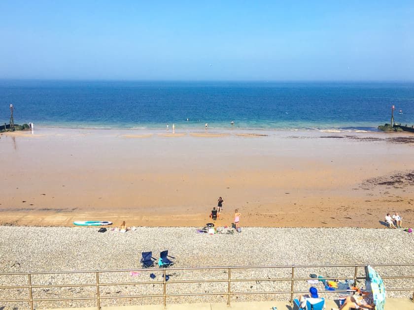 Blue Flag Beach  | Little Seahorse - Seahorses, Sheringham
