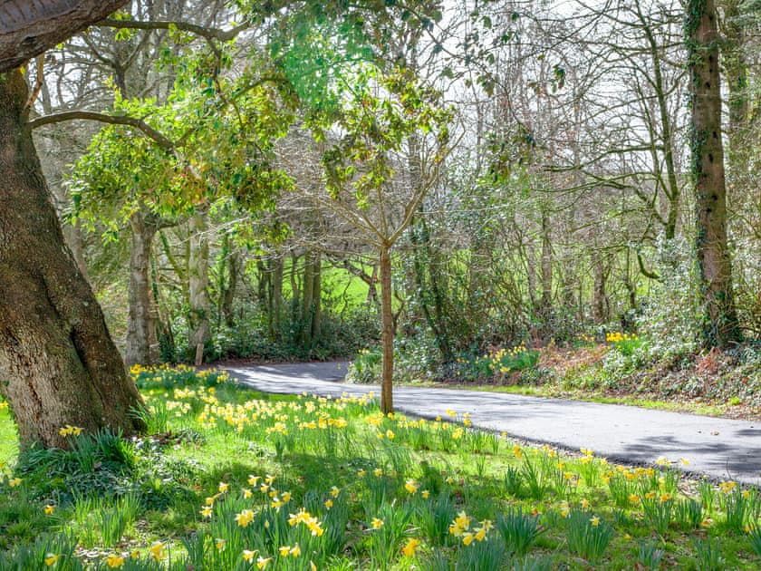Driveway | High Park House, Littleham, near Bideford