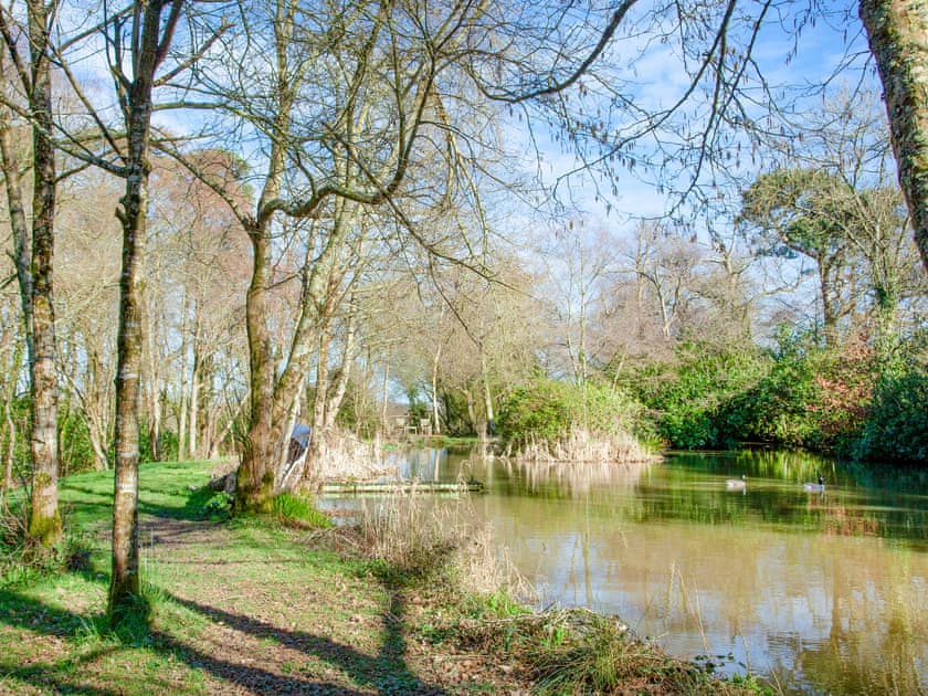Garden and grounds | High Park House, Littleham, near Bideford