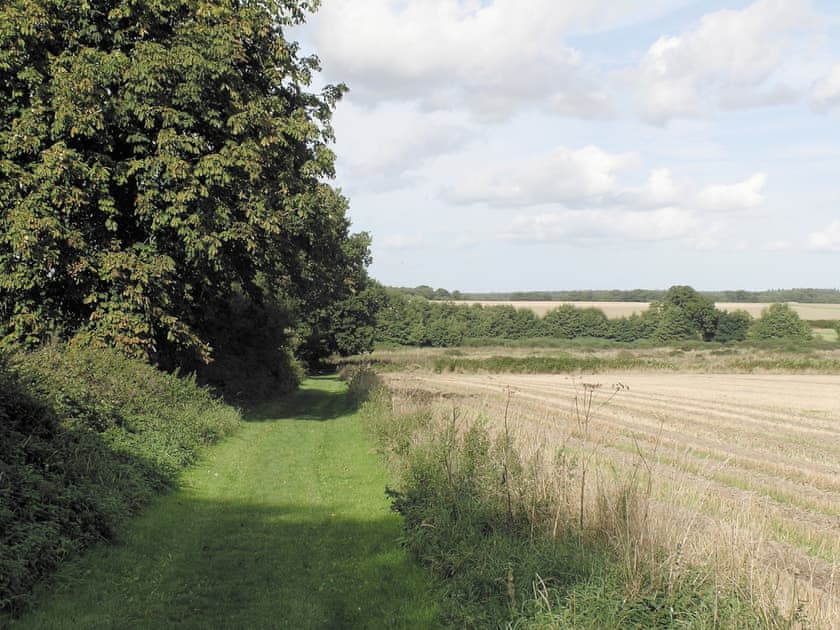 Surrounding area |  Barn Owl - Church Farm Cottages, Horsford, near Norwich